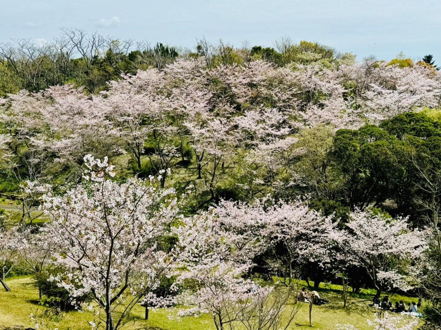 Villa 風乃家 Kaze No Ya Shirahama Esterno foto