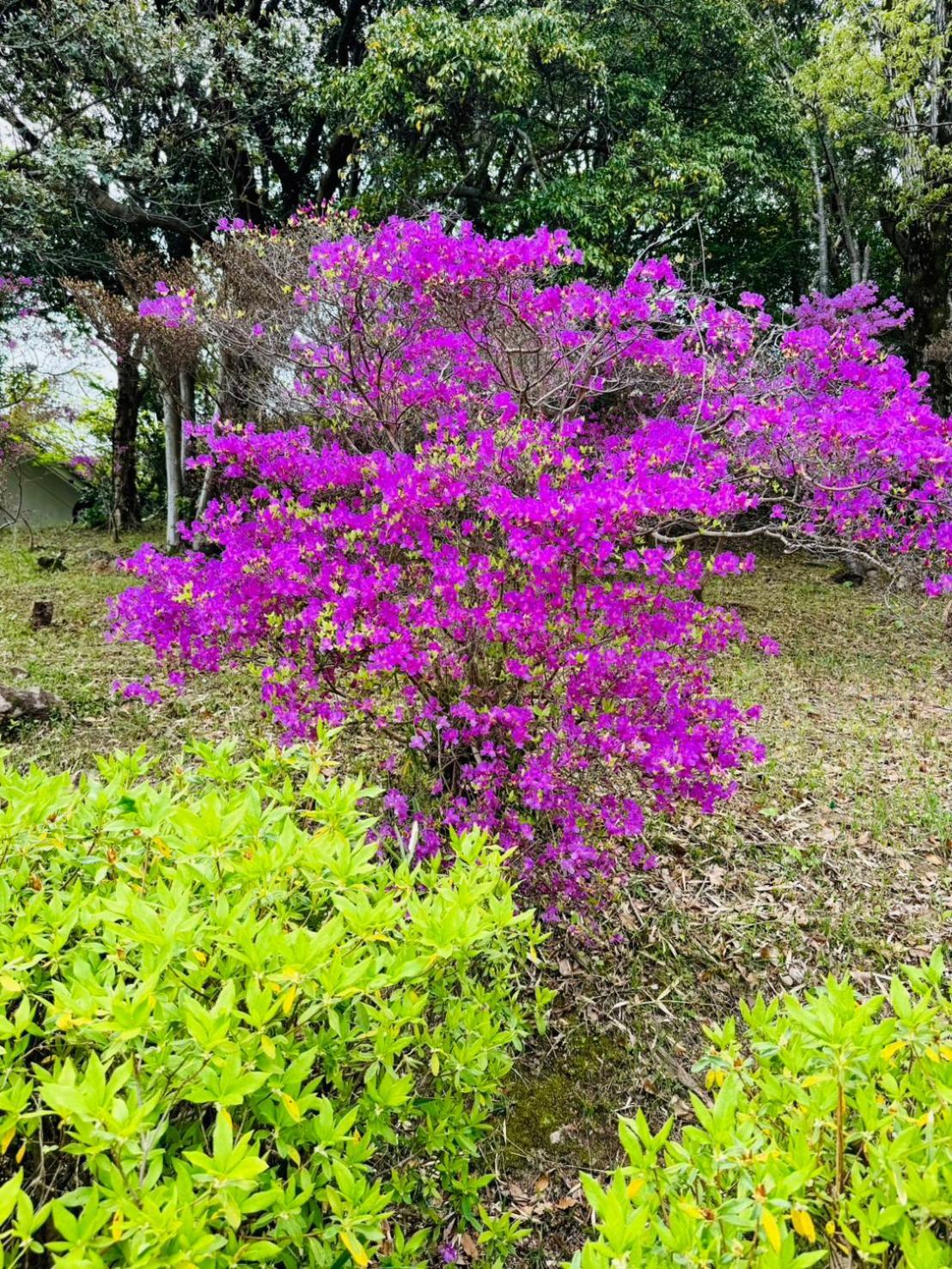 Villa 風乃家 Kaze No Ya Shirahama Esterno foto