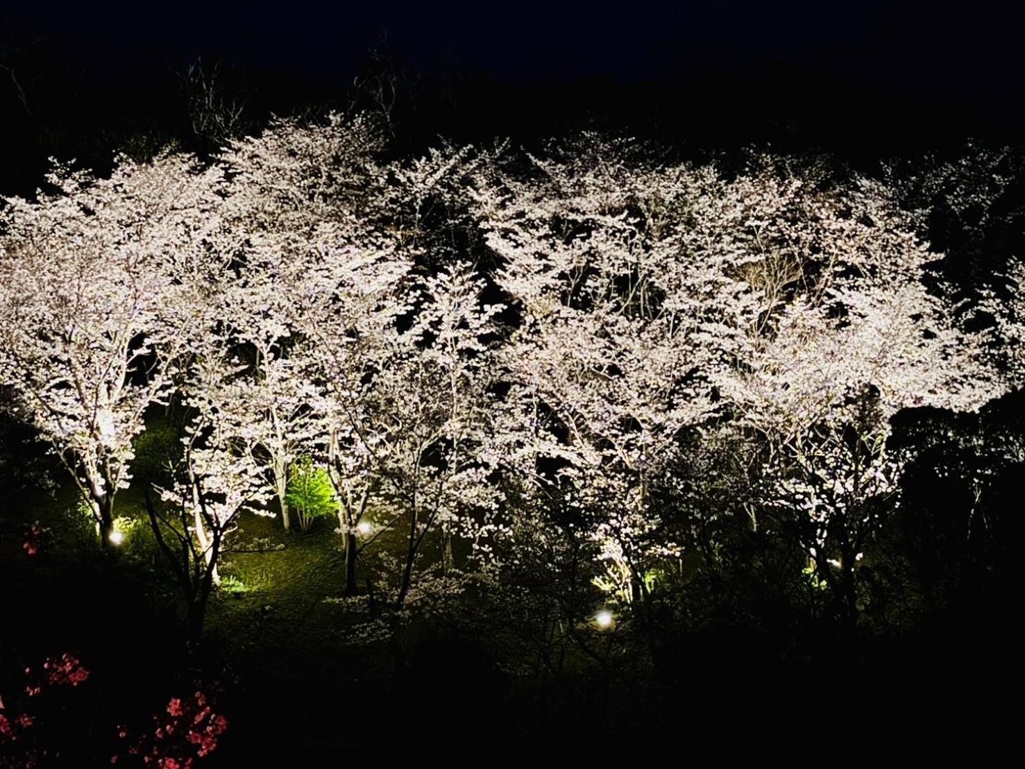 Villa 風乃家 Kaze No Ya Shirahama Esterno foto